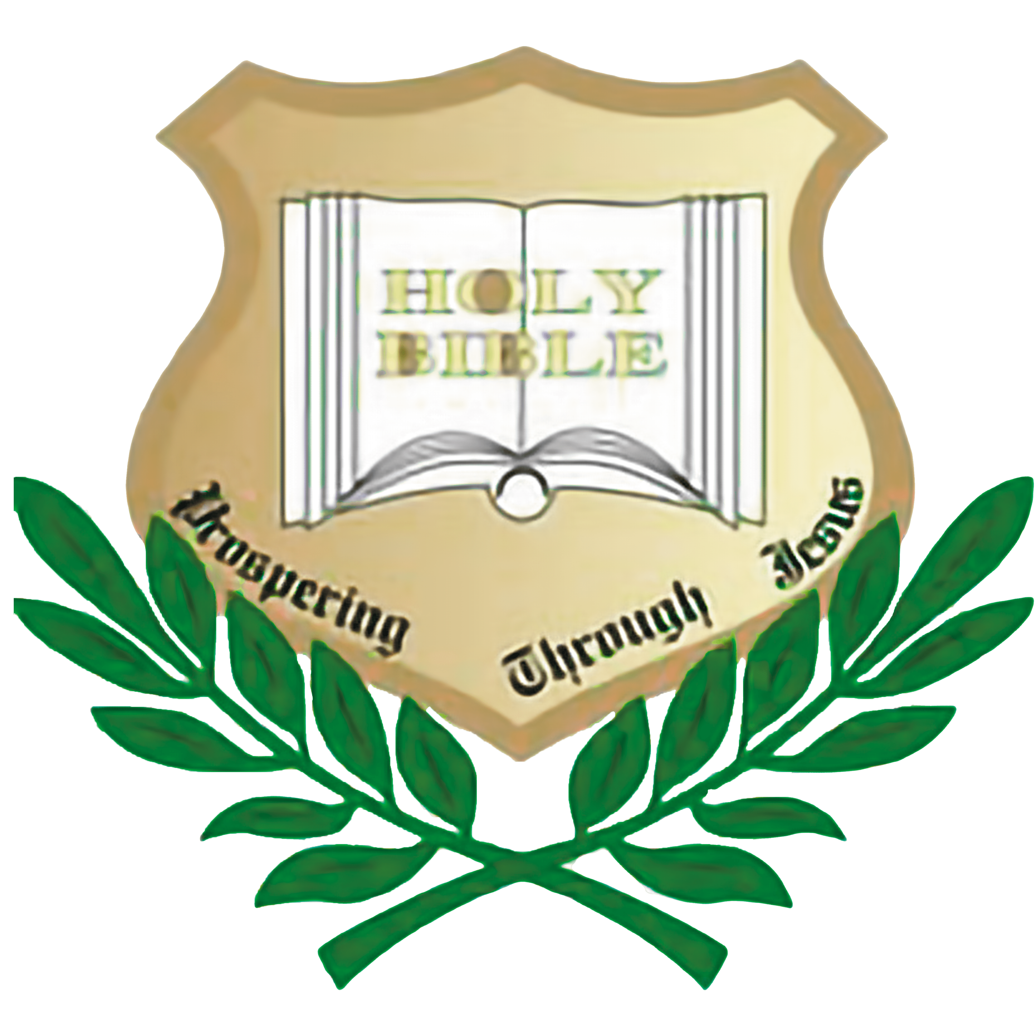 saint ignatious college